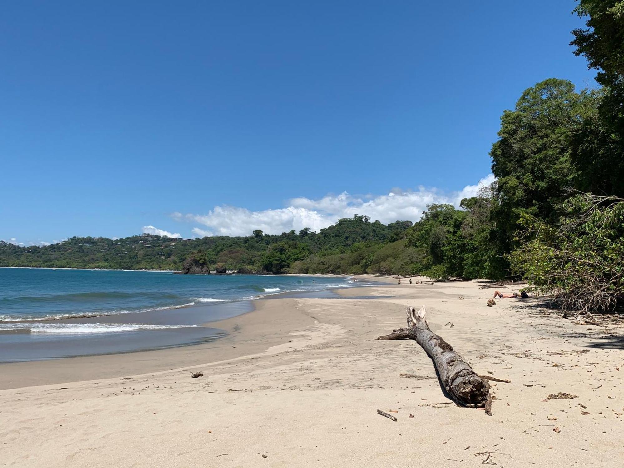 Hotel Playa Espadilla & Gardens Manuel Antonio Luaran gambar