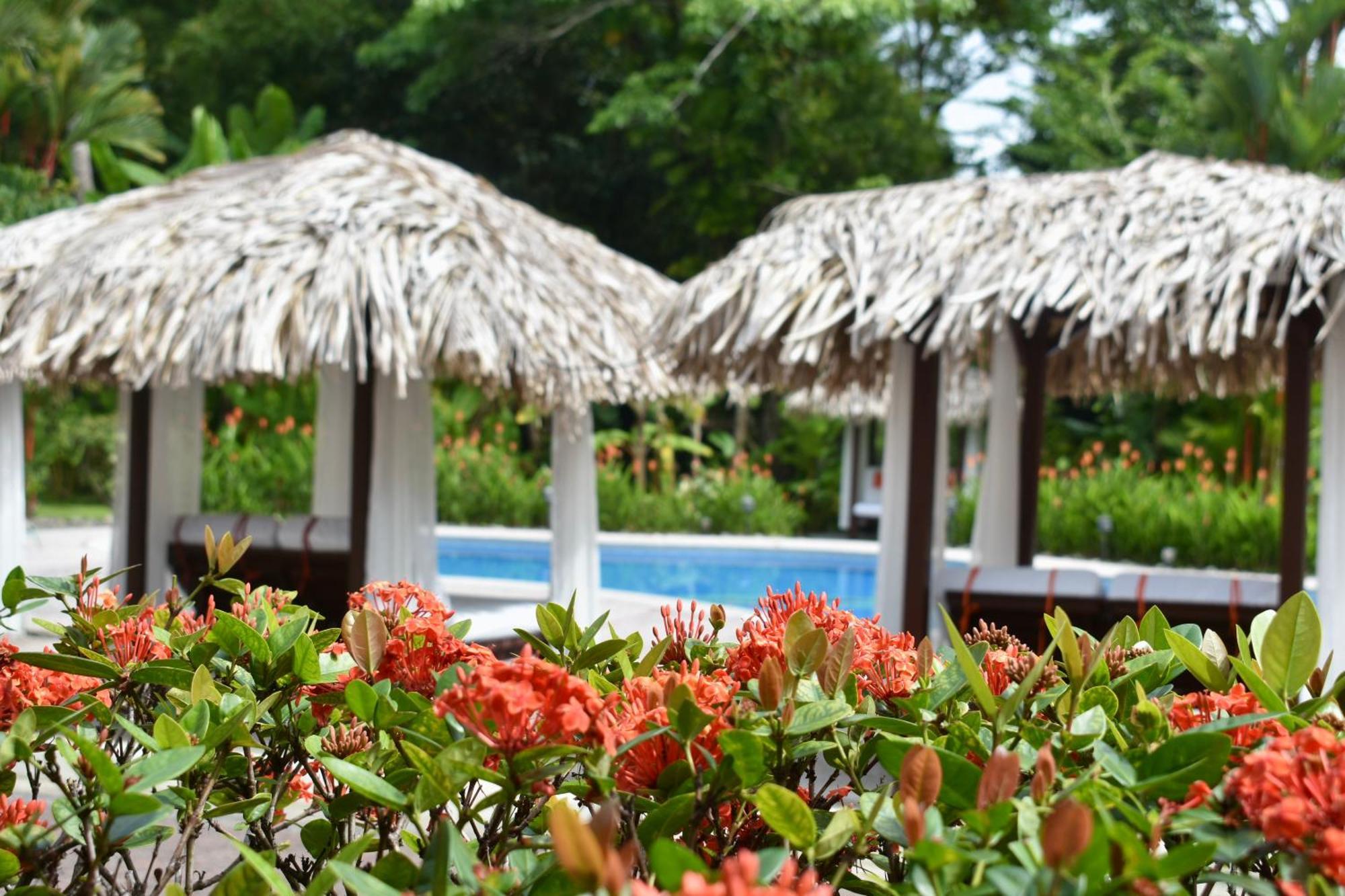 Hotel Playa Espadilla & Gardens Manuel Antonio Luaran gambar