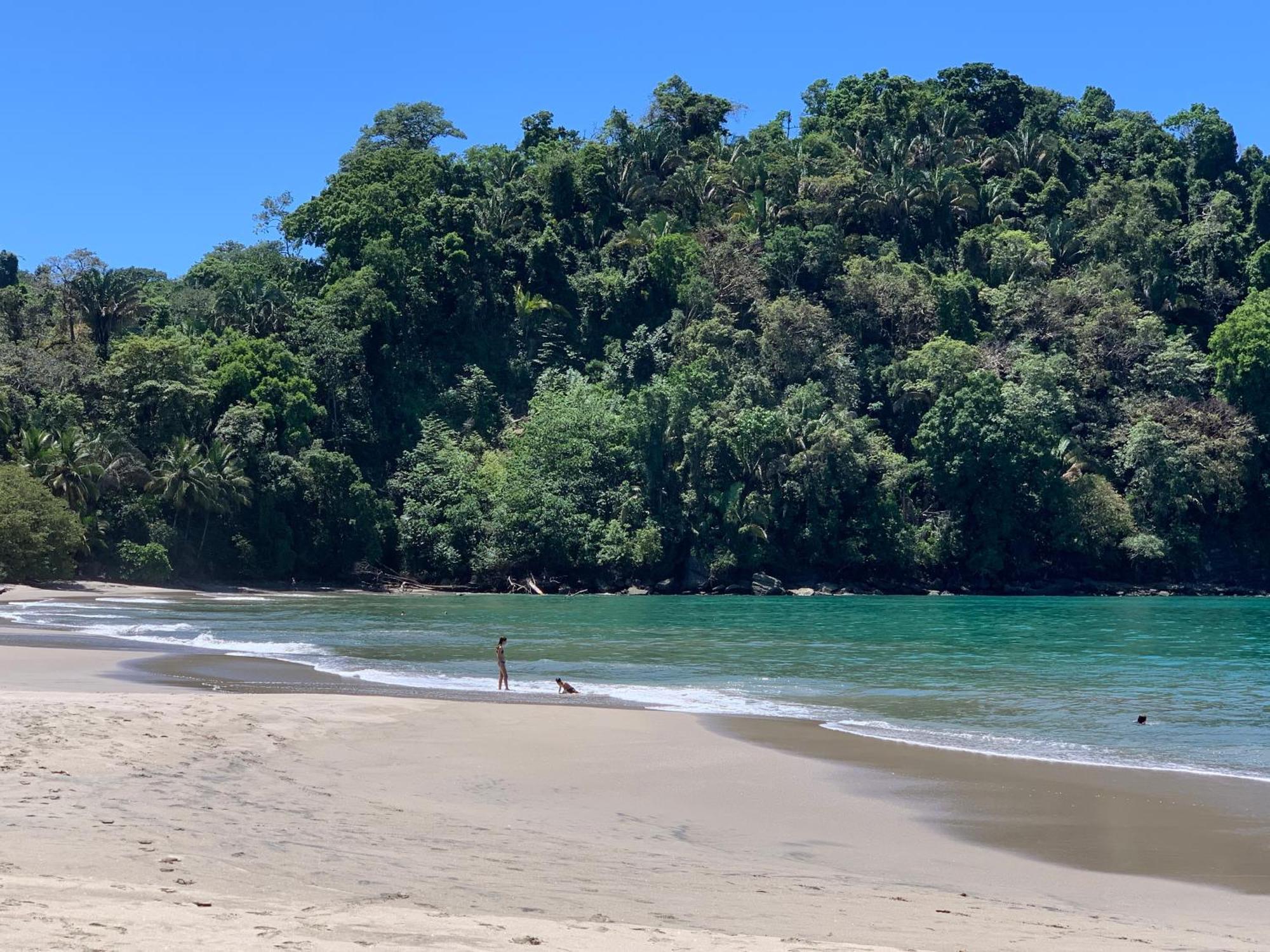 Hotel Playa Espadilla & Gardens Manuel Antonio Luaran gambar