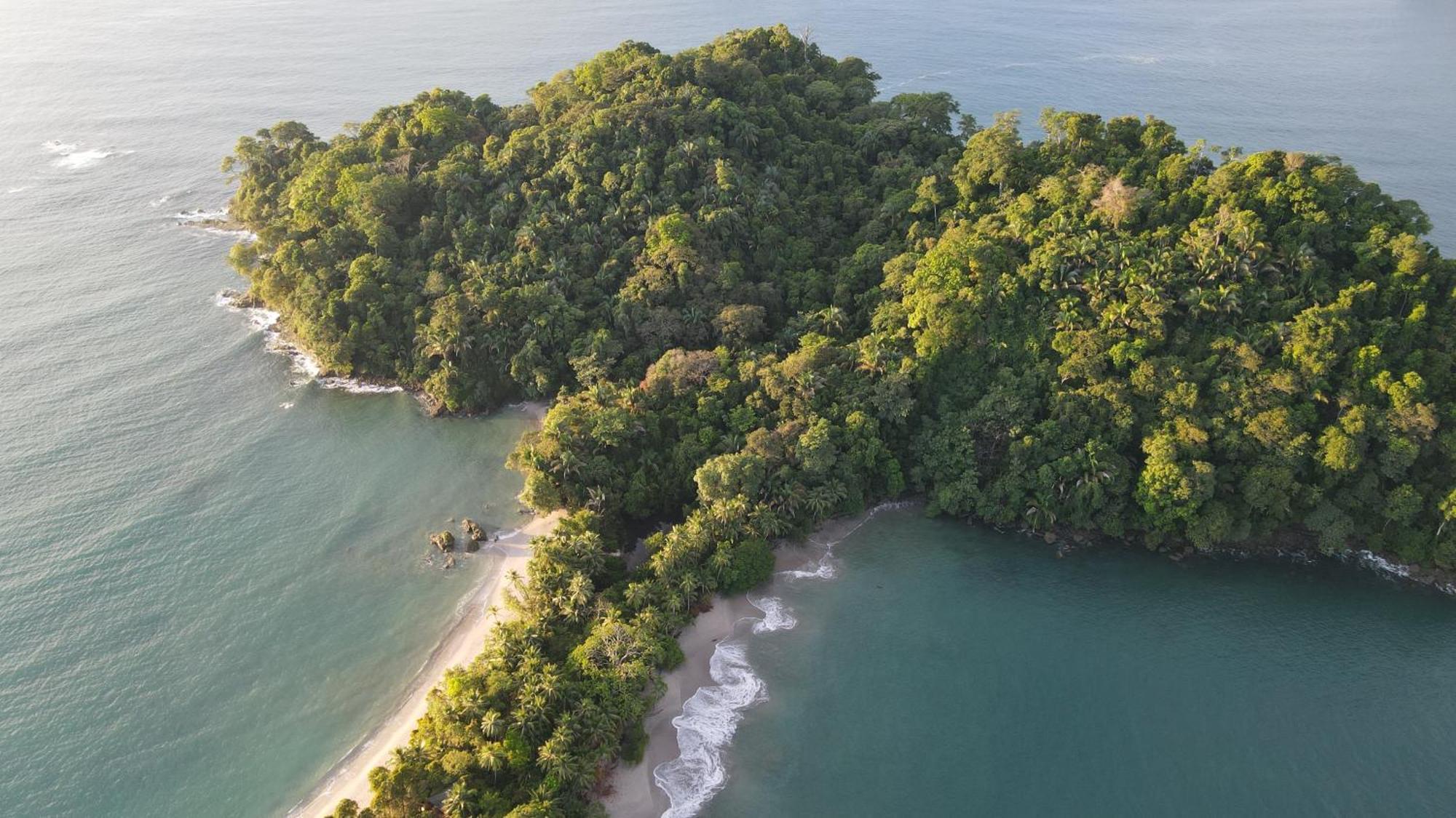 Hotel Playa Espadilla & Gardens Manuel Antonio Luaran gambar